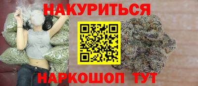 крисы Будённовск