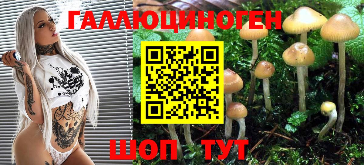 Галлюциногенные грибы ЛСД  Гусев 