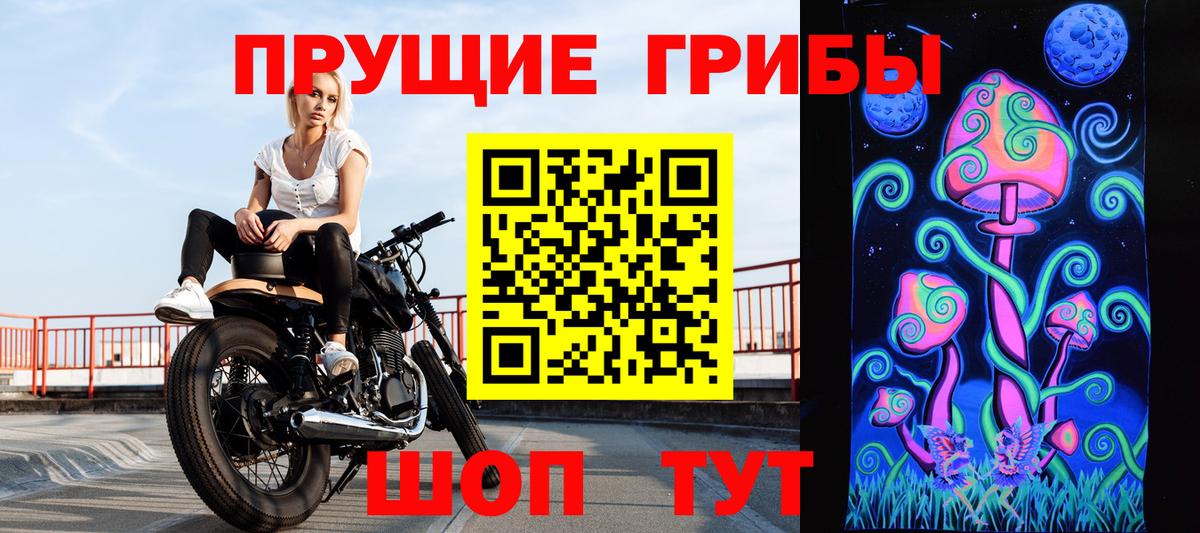 Галлюциногенные грибы прущие грибы Гусев