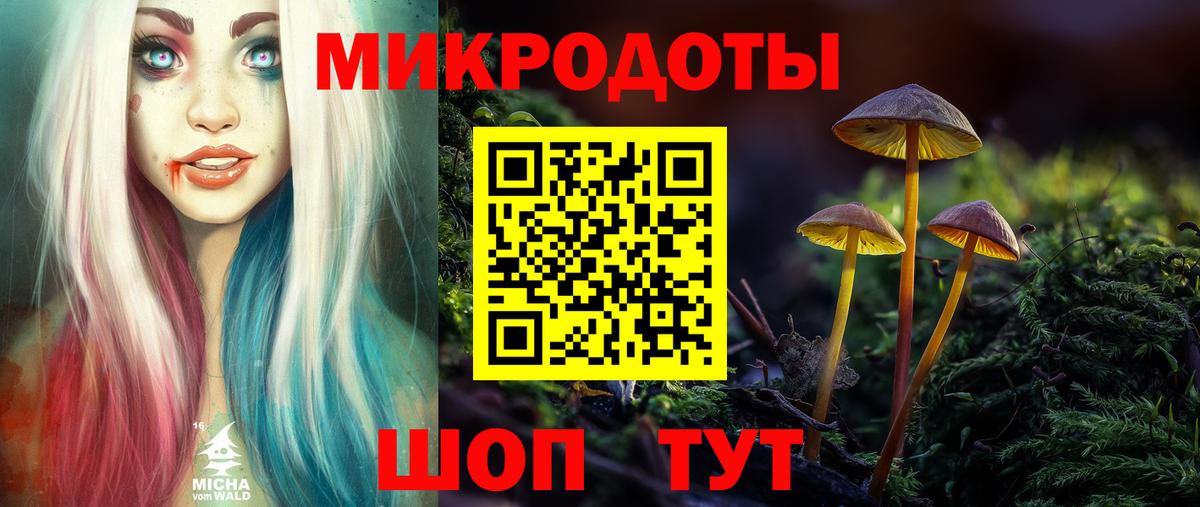 Псилоцибиновые грибы мицелий  Вход с VPN  Гусев  Галлюциногенные грибы прущие грибы 